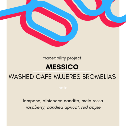 79498d_ed301a3f5b344eef989ac69333595178mv2.png Messico Washed Cafe Mujeres Bromelias 250g